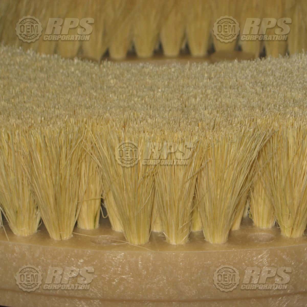 11-421T - Brush,Tampico,11" 