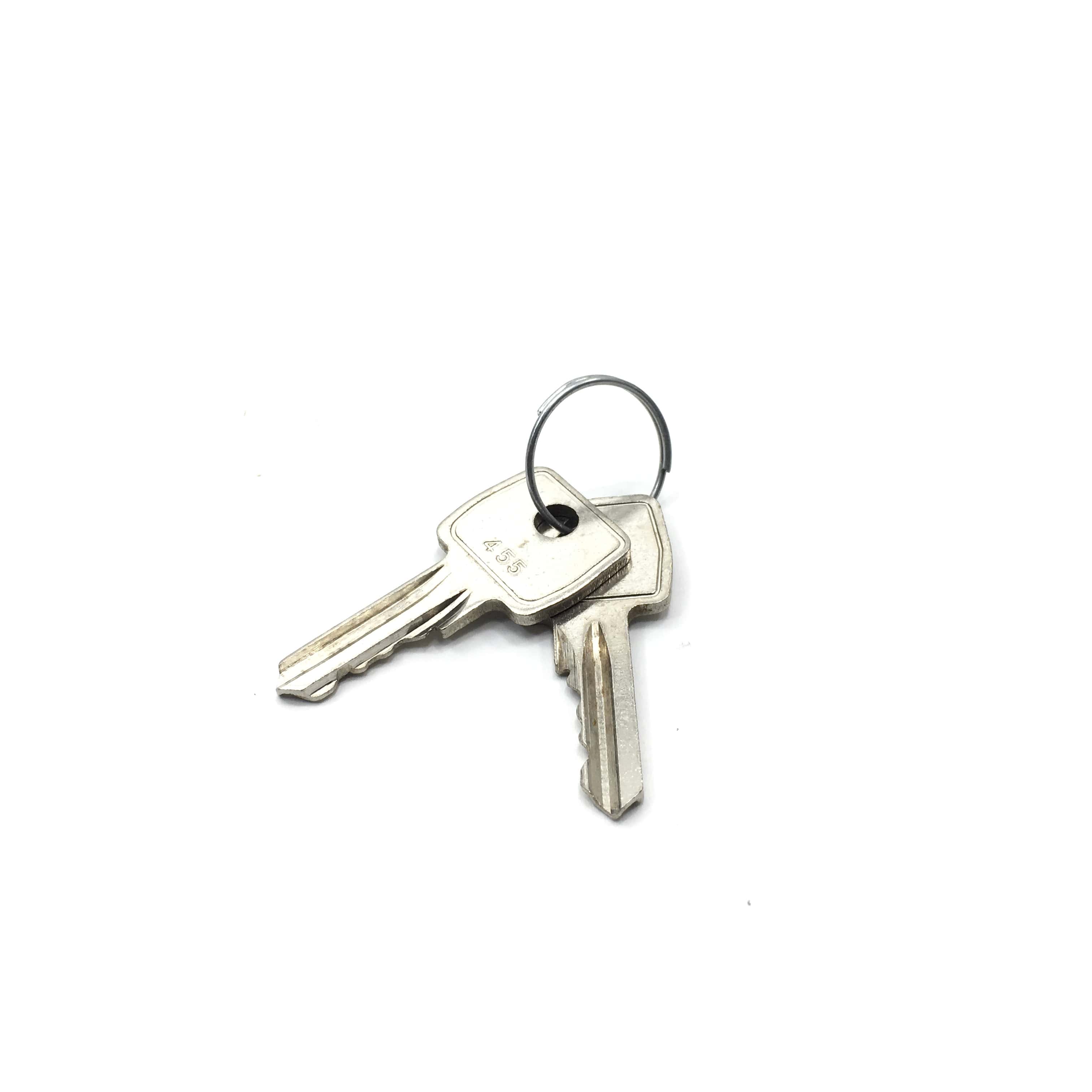 264-235A - Spare Key, set of 2 