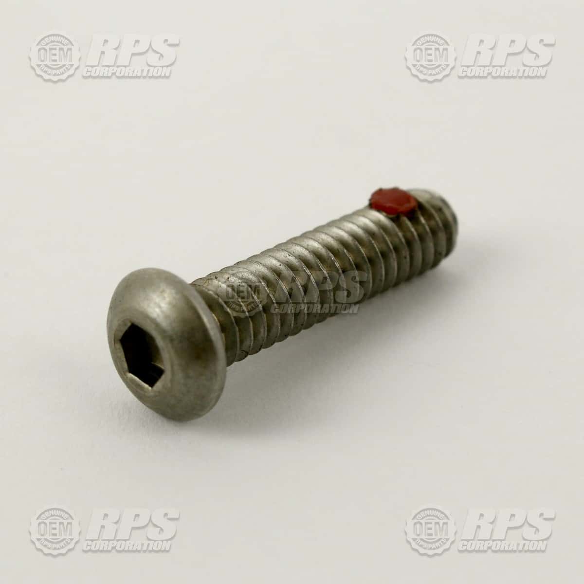 H-02223 - Screw,BHSC,1/4-20x1" Stainless,w/Locking Pellet 