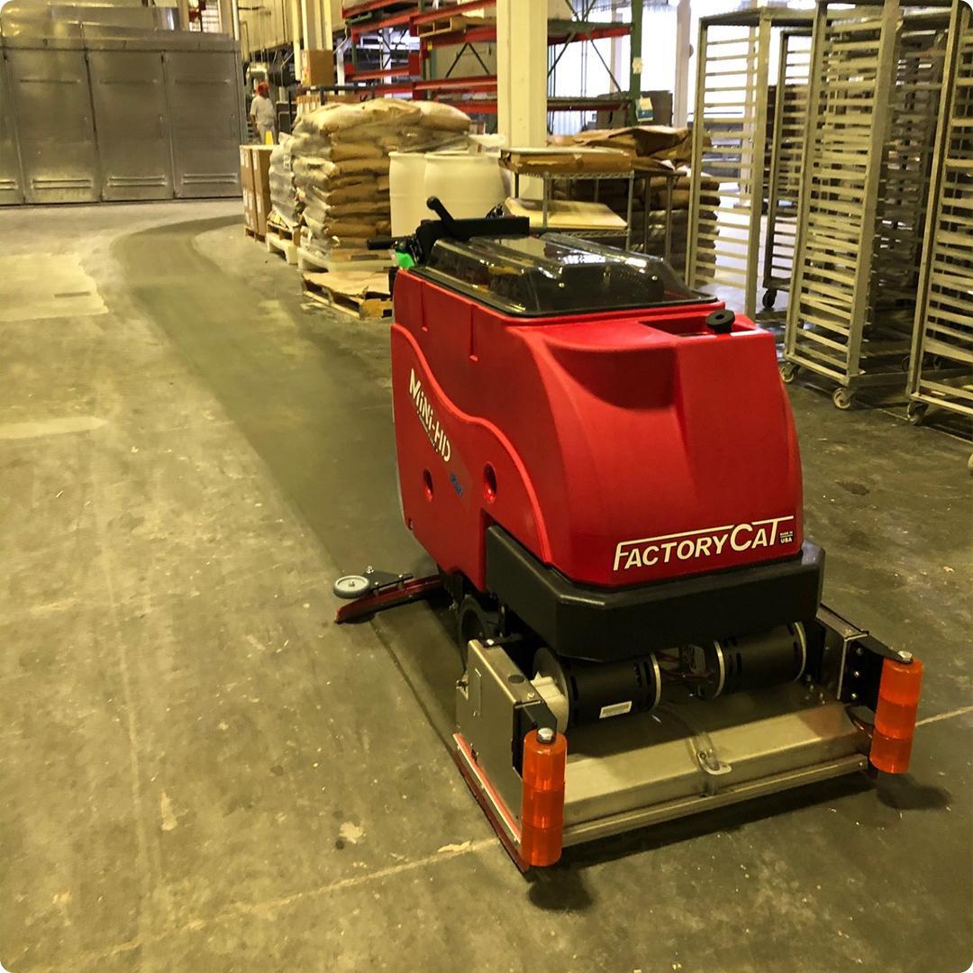 Factory Cat | Gallery